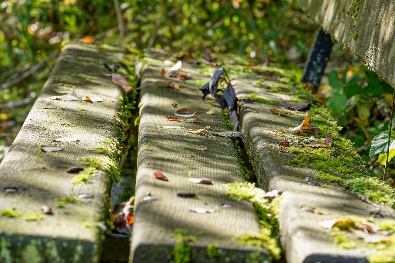 Economiser de l’argent avec sa voiture grâce aux pièces de rechange